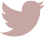 エバーカラーワンデー公式Twitter