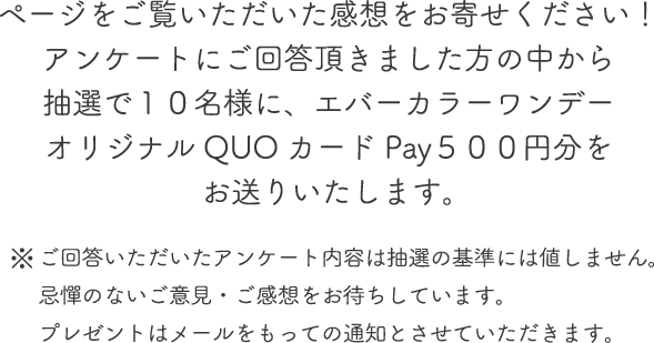 ページをご覧いただいた感想をお寄せください！アンケートにご回答頂きました方の中から抽選で10名様に、エバーカラーワンデーオリジナルQUOカードPay500円分をお送りいたします。