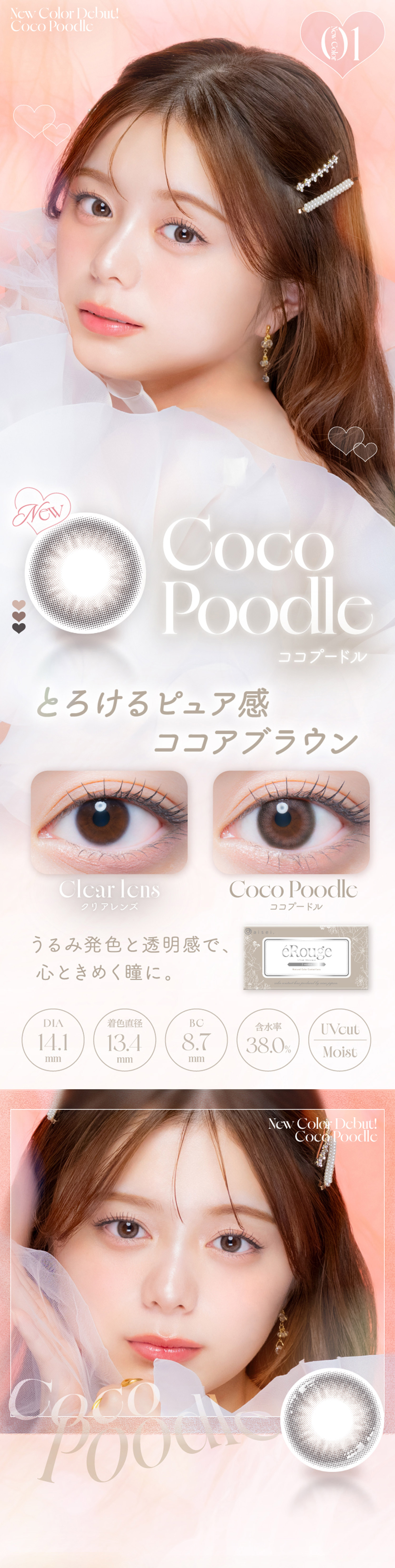 エルージュ×2箱｜EverColor.jp